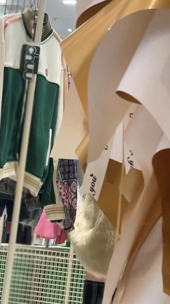 新KingKCD裙底风光 ️开心拍照的小姐姐极品骚白内裤+极品黑丝美腿小姐姐前后CD 截图6