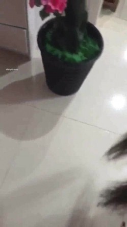 百度云泄密【良家交流群】收费交流群流出夫妻情侣分享、偷情、3P偷拍等 截图10