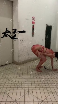 母狗调教训练推特大佬【太子】私拍，各种社死调教反差模特骚女，狗链露出爬行啪啪能玩的都玩了 截图8