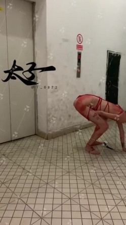 母狗调教训练推特大佬【太子】私拍，各种社死调教反差模特骚女，狗链露出爬行啪啪能玩的都玩了 截图10
