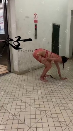 母狗调教训练推特大佬【太子】私拍，各种社死调教反差模特骚女，狗链露出爬行啪啪能玩的都玩了 截图15