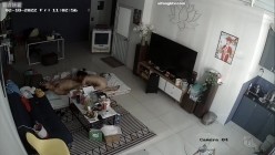 居家黑客入侵偷拍，老公边玩手机边抠妻子的下体，骚妻终于忍不住起身口交女上一气呵成，少妇上位太猛了 截图7