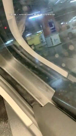【Avove】系列合集，野战爱好者，带着炮友各地留精，最爱无毛肥逼包臀裙肉丝 截图10