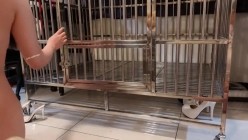 真枪实弹折磨凌辱女奴！推特私密圈国内各路SM调教大神分享作品~各类露脸反差母狗被玩弄 截图15