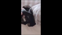疯传被迫已退圈的清纯漂亮极品露脸宝藏女孩Erica最全黑料喷水捣白浆玩肛看子宫各种超前玩私处 截图15