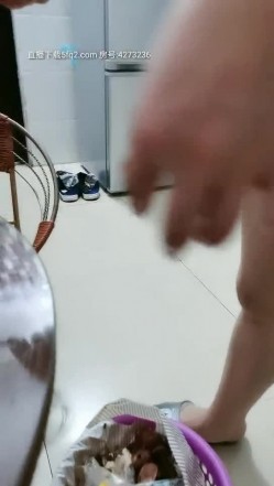 去女同事家吃饭借酒劲偷操来一炮 扒开小穴不带套直接差进入 小逼好紧插半天 主动抓J8骑操 截图8