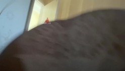 快手福利空姐女神【是邹琳吖是你的琳姐姐】脸穴同框性爱XO首次流出性爱啪啪 猛操 吃鸡巴 截图12