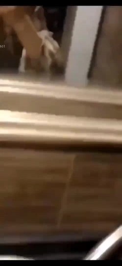 全网稀缺资源 高端淫妻私密群内部福利 淫乱优质女神 截图11