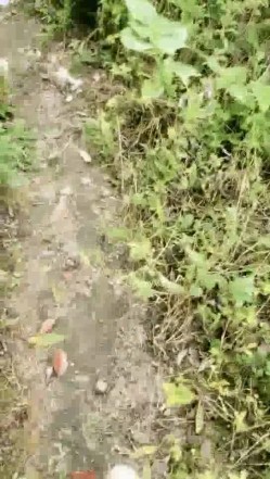 野外~玩刺激~玩心跳~【无敌小表妹】2男2女~车震小树林~茅屋~操出血，家中3P啪啪 截图9
