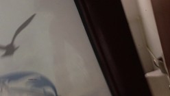 偷偷拍，小女友洗澡：啊啊啊！我要报警了，你准备死了。哈哈哈情侣打闹，不过身材颜值还蛮好耶！ 截图10