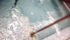 女偷拍客 潜入某高校附近温泉洗浴会所更衣室浴池偷拍几个好身材学妹更衣沐浴戏水 截图16