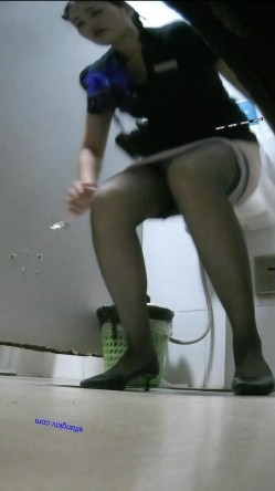 大型购物中心内部女厕偷拍 多位黑丝美女店员的各种极品美鲍鱼 截图13