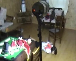 国产SM小合集 制服美女竟然被如此凌辱 且享受高潮般的快感 截图2