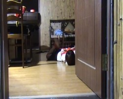 国产SM小合集 制服美女竟然被如此凌辱 且享受高潮般的快感 截图8
