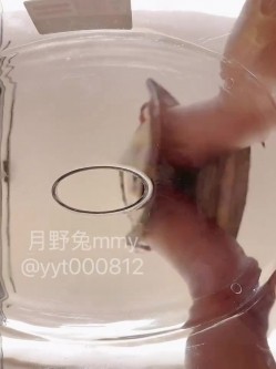 富豪包养极品空姐尤物「月野兔mmy」全量推特资源 肛交、3P、献妻、野外露出、车震 截图1