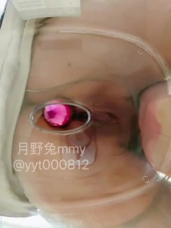 富豪包养极品空姐尤物「月野兔mmy」全量推特资源 肛交、3P、献妻、野外露出、车震 截图9
