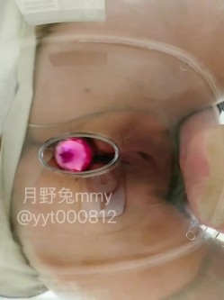 富豪包养极品空姐尤物「月野兔mmy」全量推特资源 肛交、3P、献妻、野外露出、车震 截图14