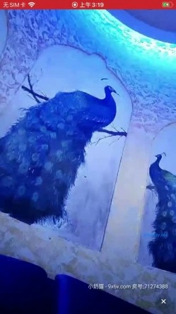 【情趣人体模特】酒店情趣房，短发00后平面模特私拍，调情口交啪啪，尤物女神羡煞粉丝们，刺激 截图13