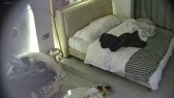 酒店偷拍连续3天入住的年轻情侣古灵精怪的双马尾可爱甜妹被男友不分日夜操了几次 截图7