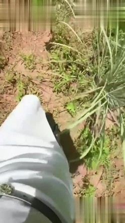 小姨子的秘密 ️ 与小姨子户外桌上野战做爱 先享受足交再前操后入小姨子 在淫荡的呻吟中侧入内射 截图2