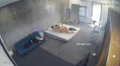 黑客破解家庭网络摄像头偷拍住毛坯房的年轻情侣疯狂做爱有时一天做爱几次 截图5