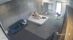 黑客破解家庭网络摄像头偷拍住毛坯房的年轻情侣疯狂做爱有时一天做爱几次 截图14