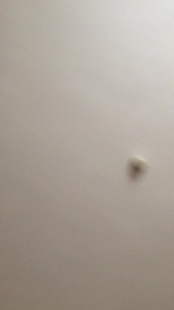 长直黑发高颜值甜妹眼睛紧闭皱眉张嘴浪叫不止，露脸被粗鸡巴猛插深喉口爆 截图16