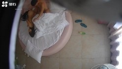 萤石云破解 小伙和美女同事酒店偷情连干三炮精力是真好 截图15