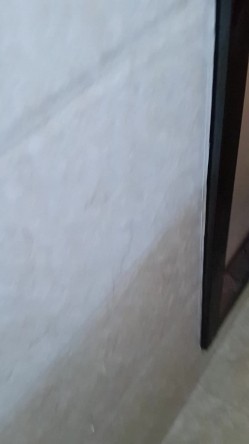 逃课系列之东北侯小雪最全视频合集，风骚长腿妹，良家小情侣酒店开房，清纯校花床上这么会玩 截图13