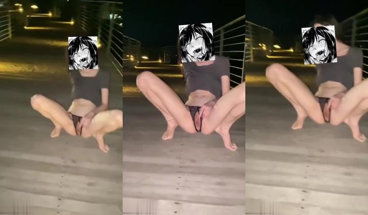 母狗调教训练推特大佬【太子】私拍，各种社死调教反差模特骚女，狗链露出爬行啪啪能玩的都玩了