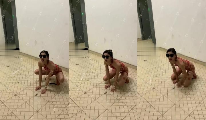 【重磅核弹】超高颜值车模女神【太子妃】SM调教露出啪啪