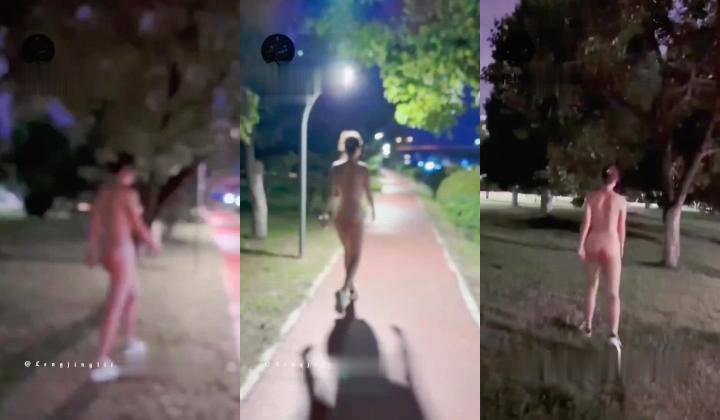 178模特犬刚入夜公园风骚露出，全是行人。刺激躲避。对面路上车辆壹览无余
