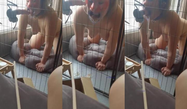【极品流出 ️恋爱性陷阱】圈养调教大学母狗『二月』无下限性开发实录 完美曝光真实还原母狗成长变化