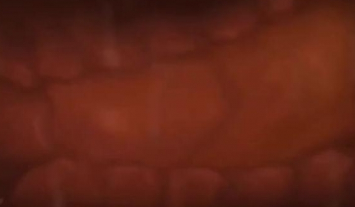 300米自购小狐狸主播 ️-性学课堂-珂珂- ️土豆群真人裸体教学视频 10V，知识大讲堂，开眼界了！