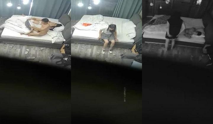 最新流出乐橙酒店偷拍 ️学生情侣每次打完撸啊撸就开始草，姿势还挺多的