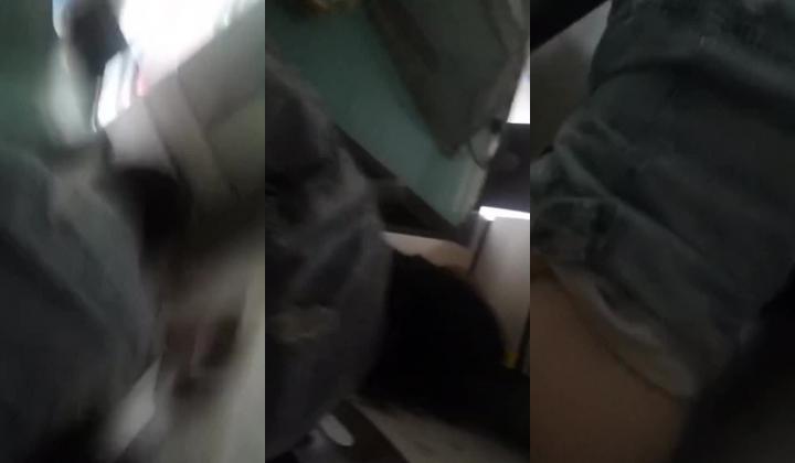 真实母狗邻居【独恋猫猫】 调教邻居母狗，露脸，喝尿，操尿，SM，骚话对白，捆绑，毒龙，三通，装修新房里干