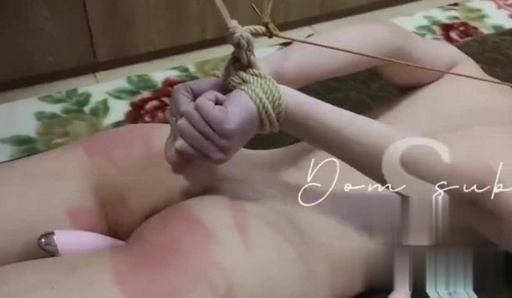 字母圈大神「熘肉段S」全量推特资源 大量M女奴来受虐，炮击、捆缚、虐阴、鞭打