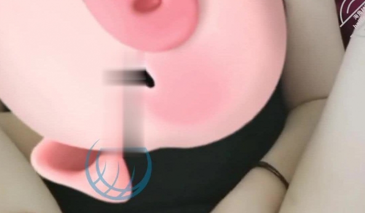 【长腿白虎小优】在我的撩拨下嫂子又给我发了艹逼的小视频
