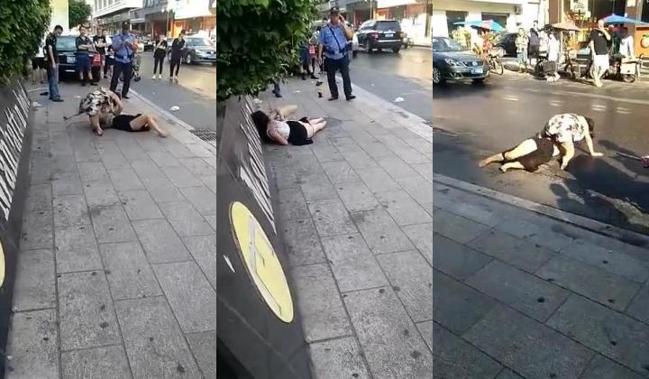 大街上实拍正室与小三互殴裤衩干飞露阴部太猛了