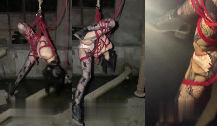 推特顶级大神【elc调教师】能肏能玩，各种模特网红女神滴蜡走绳喝尿露出羞耻训成母狗