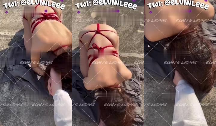 推特顶级大神【elc调教师】能肏能玩，各种模特网红女神滴蜡走绳喝尿露出羞耻训成母狗